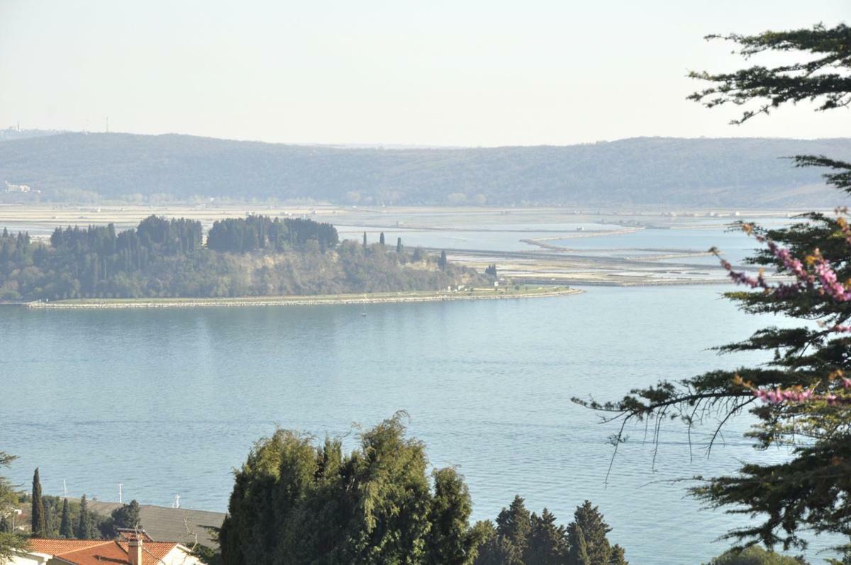 Bbp Apartment Portoroz Exterior photo